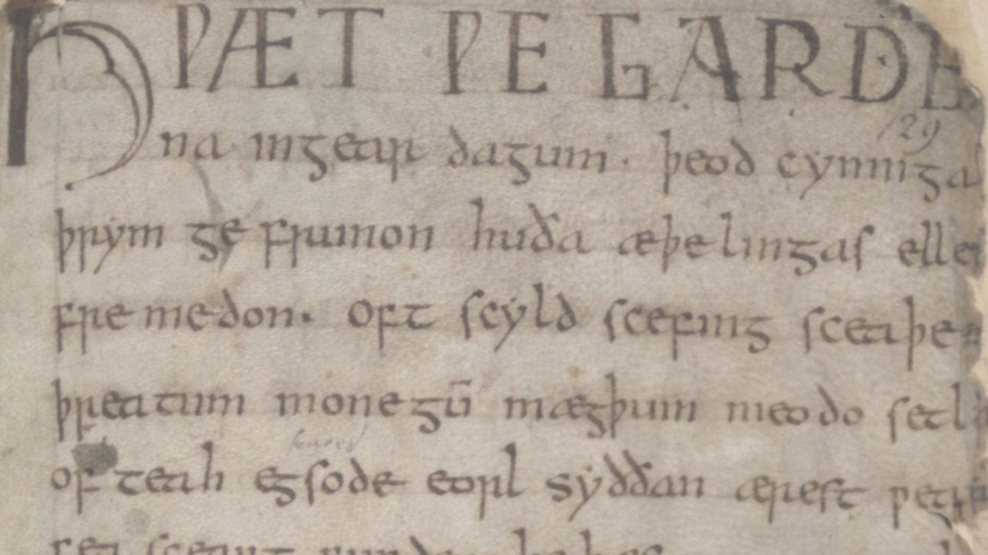 The barred-thorn highlighted in the Beowulf manuscript
