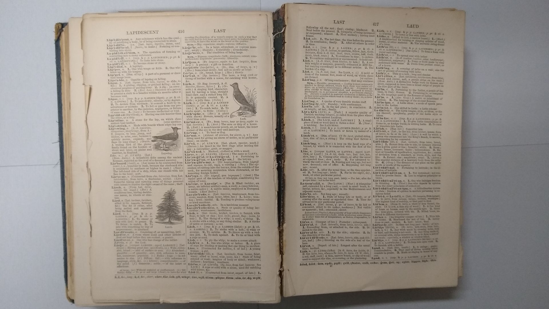 Webster's Dictionary of the English Language - People's Edition