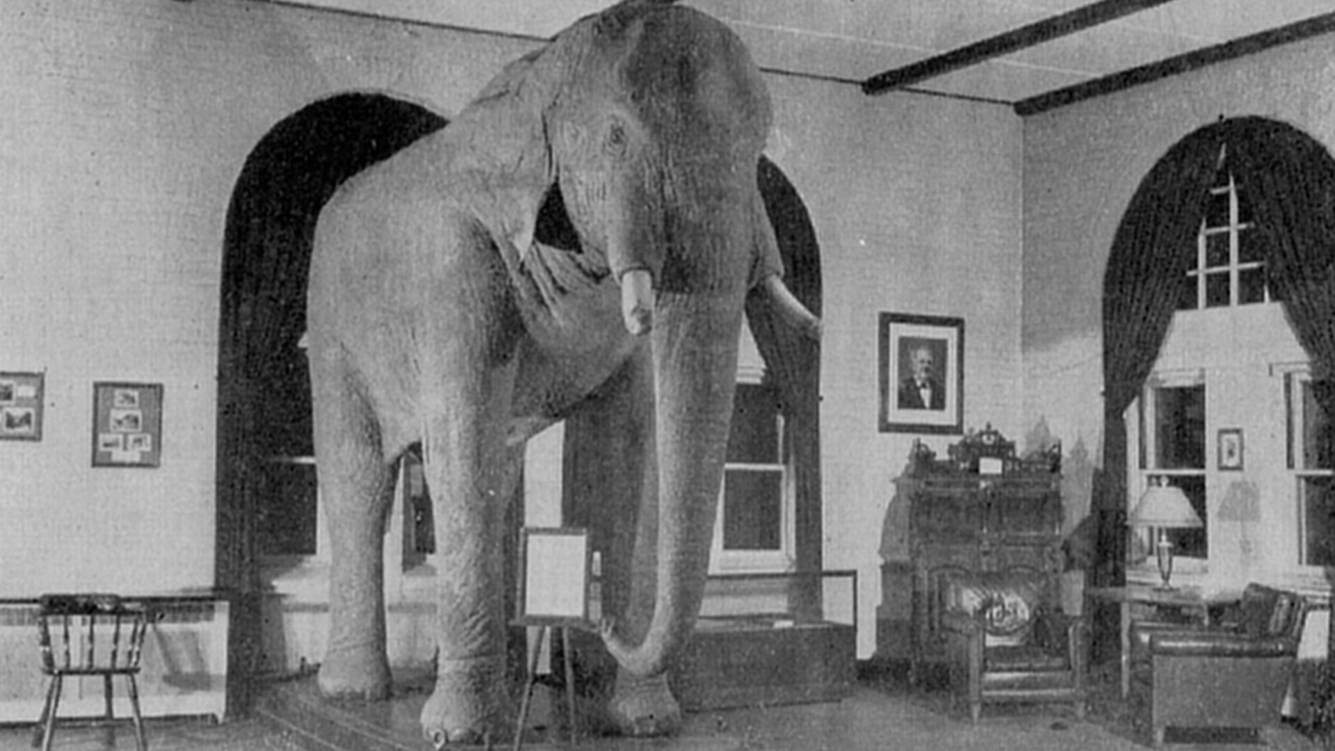 P.T. Barnum’s Famous “Jumbo”