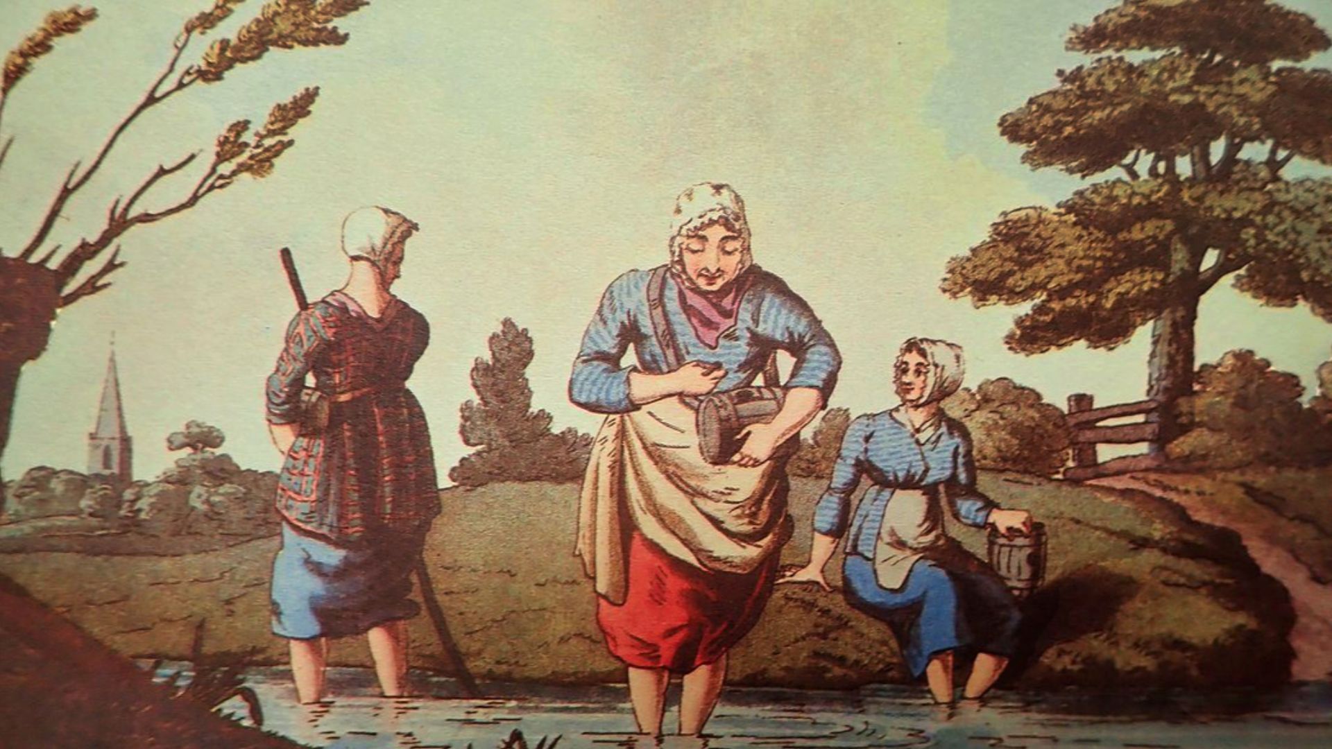 Both doctors and quacks used the blood-sucking creatures to treat a number of ailments, ranging from headaches to