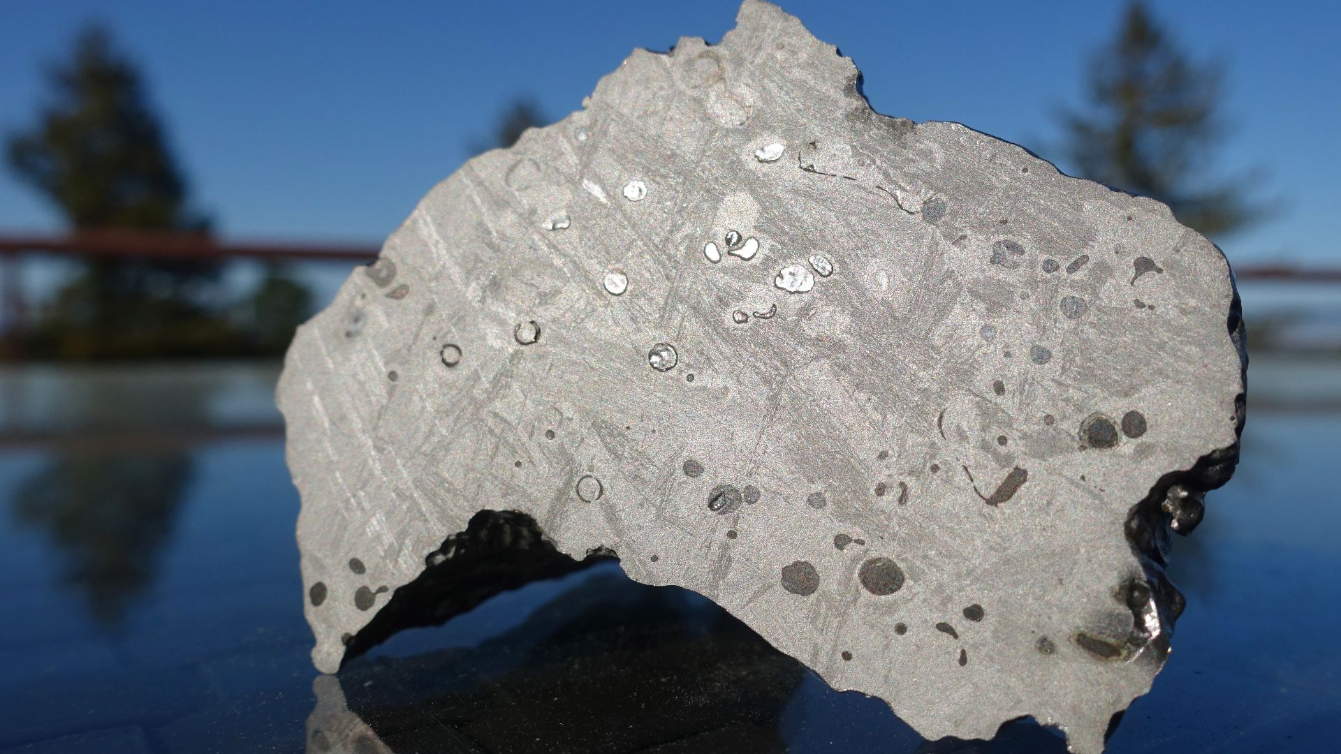 Full Metal Beauty of the Dronino Meteorite: The cut face, with interesting ring inclusions and shiny metal blobs within the metal matrix.Bonhams summarizes: “Ataxites are a rare type of iron-nickel meteorite that do not exhibit a Widmanstatten pattern wh