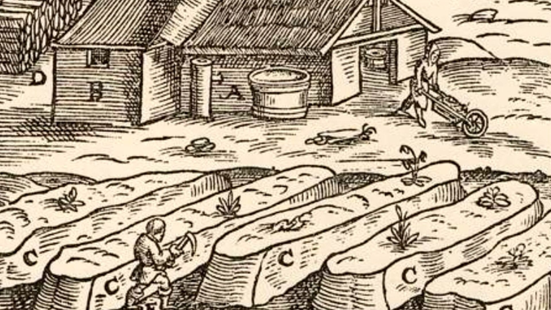 A typical nitrary (Germany, circa 1580) with leaching deposits (A) filled with decaying vegetal matterial mixed with manner. A worker collects efloresced saltpeter from deposits, transporting it then to be concentrated in the factory (B) boilers.