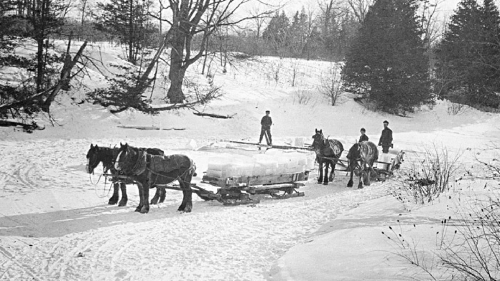 Cutting ice from the river, Toronto, Canada