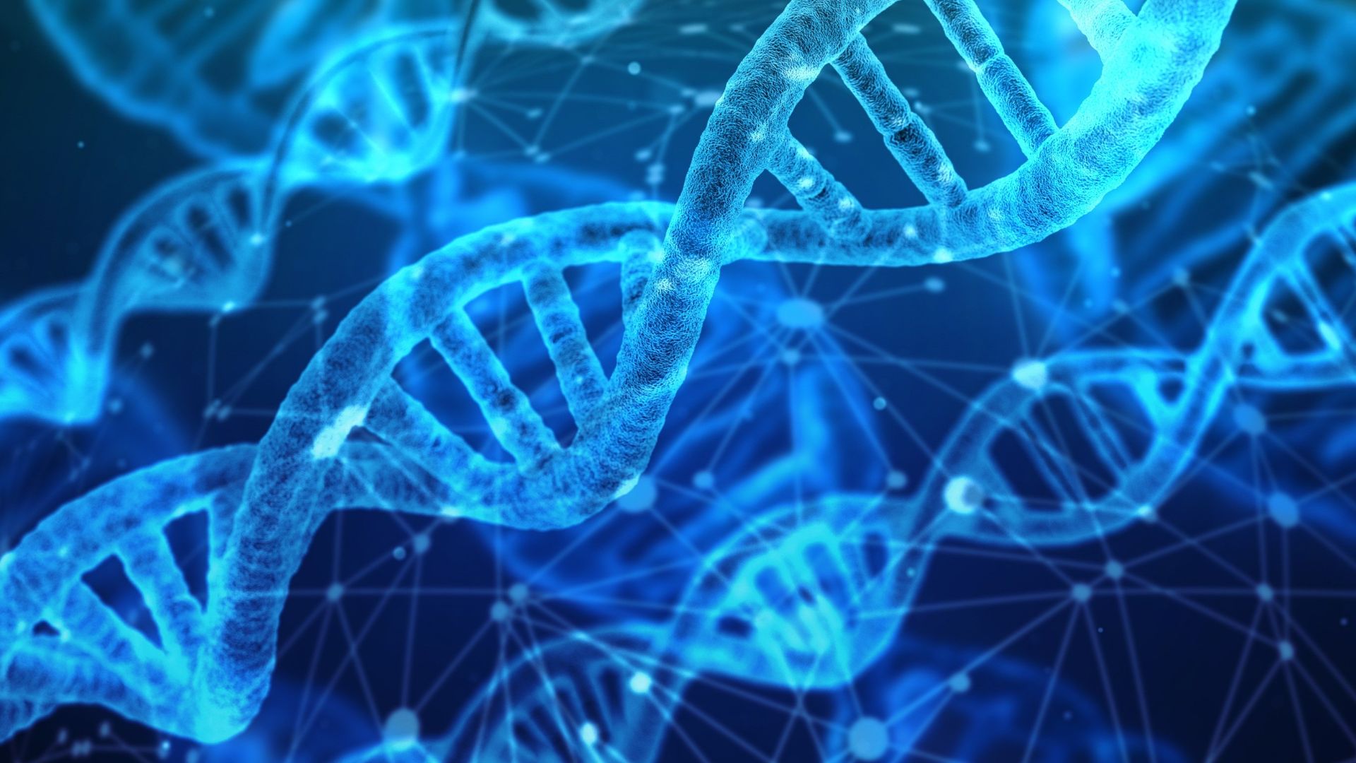 DNA strands