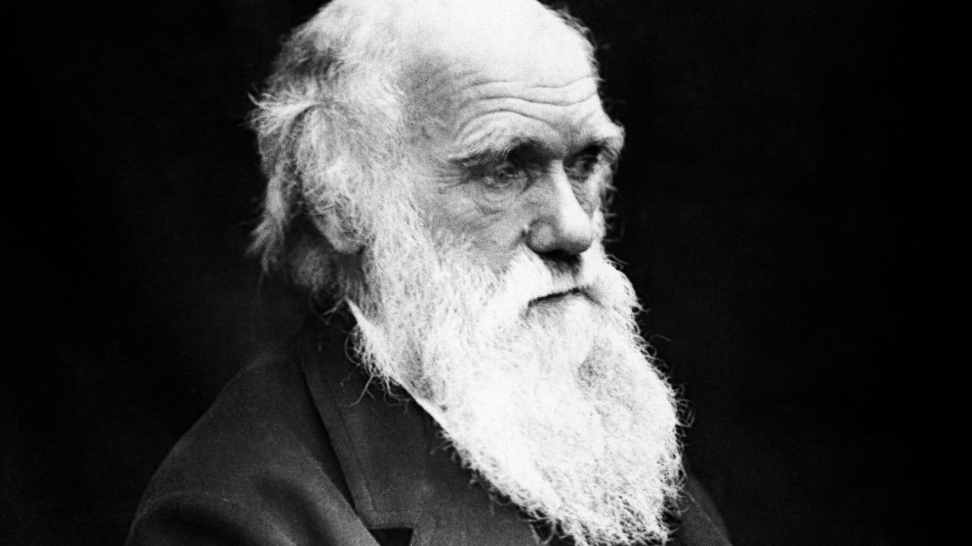 Charles Darwin (1809–1882) in his later years. This image is the correct orientation. Darwin's mole was on the right side of his nose.