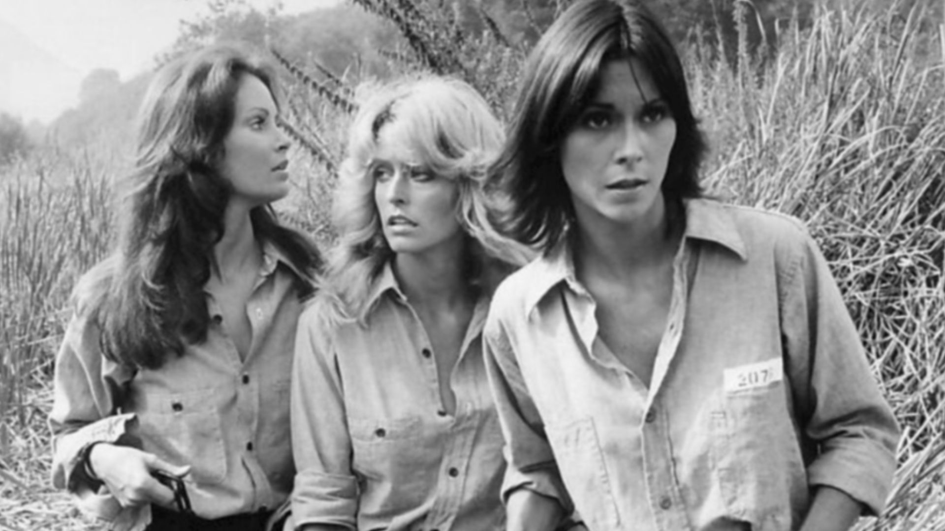 Photo of the original cast of the television series Charlie's Angels.  From left:Jaclyn Smith (Kelly Garrett), Farrah Fawcett (Jill Munroe, credited as