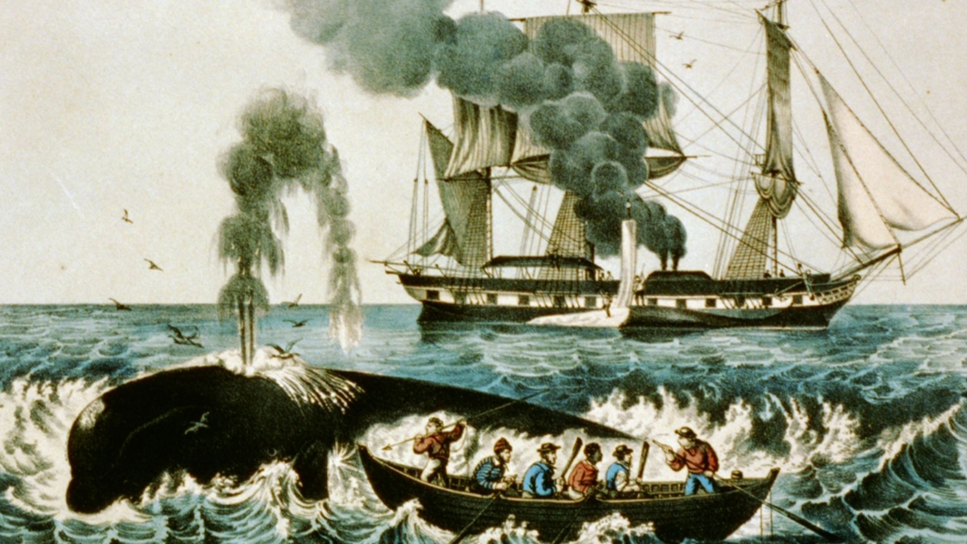 File:Walfang zwischen 1856 und 1907.jpg