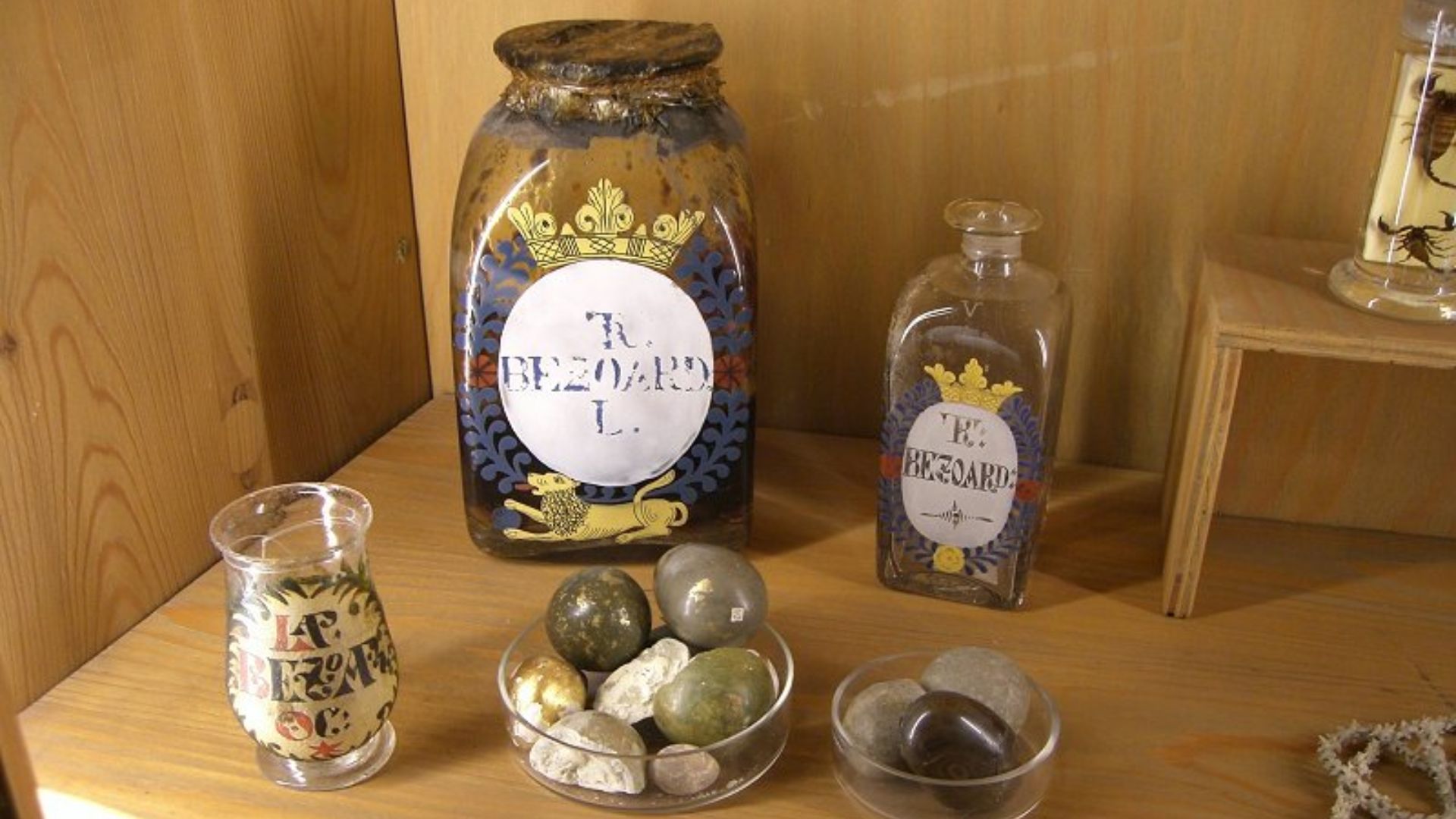 Bezoar stones on display in the German Pharmacy Museum in Heidelberg Castle.