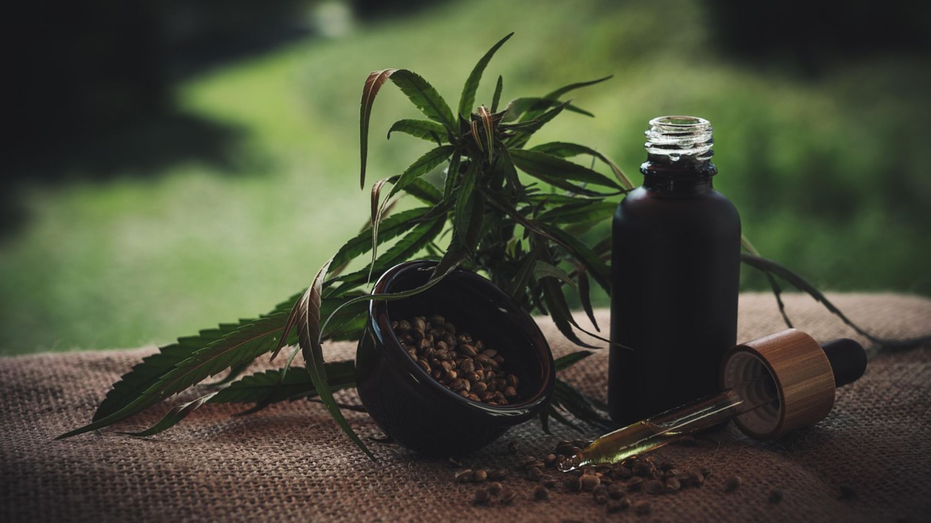 CBD-Infos-com