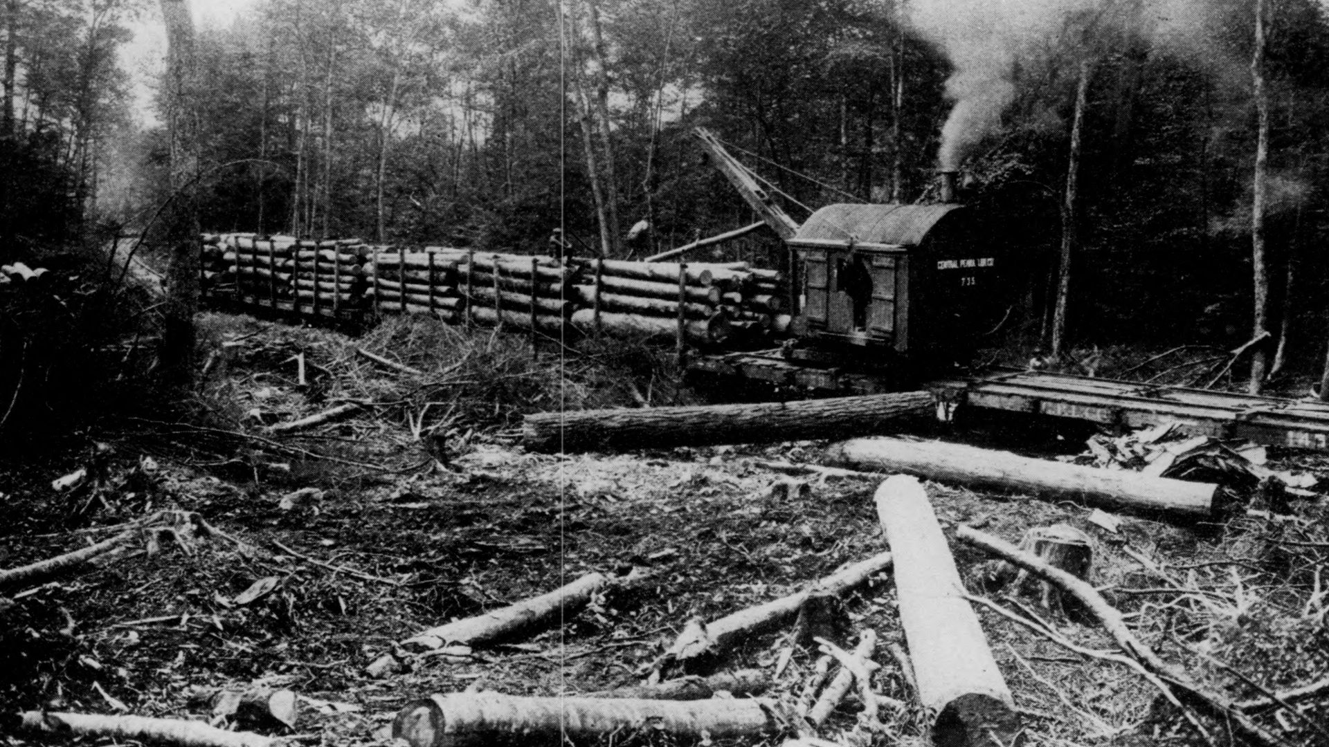 Title: Bulletin (Pennsylvania Department of Forests and Waters), no. 51-55
Identifier: bulletinpennsylv5155penn (find matches)
Year: 1923 (1920s)
Authors: Pennsylvania. Dept. of Forests and Waters
Subjects: Forests and forestry
Publisher: Harrisburg, Pa. 