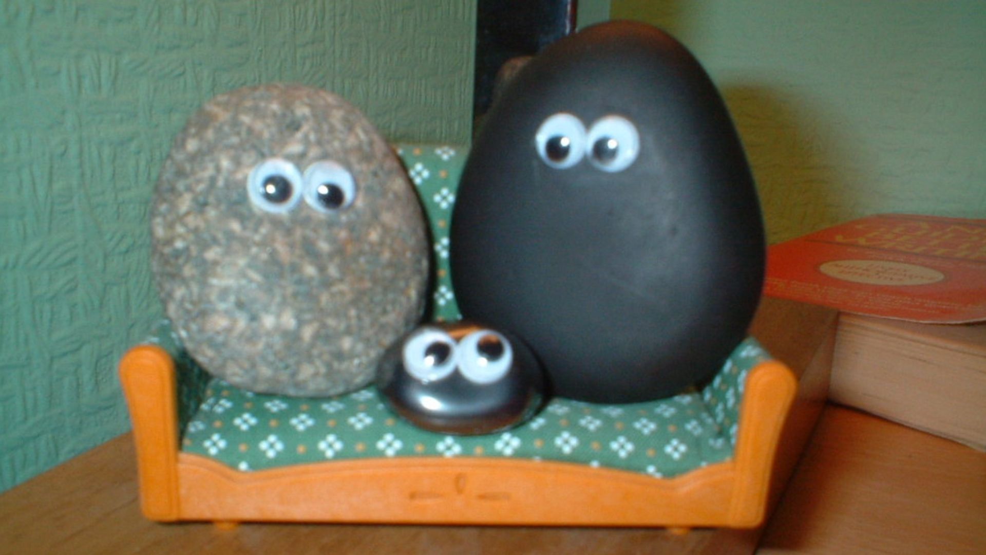Image of imitation pet rocks. The original rocks had no eyes.