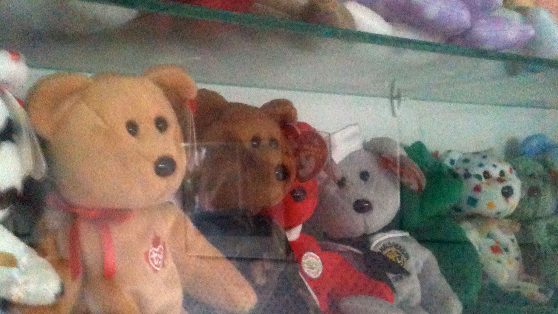 Just some of Mom's 60+ Ty Beanie Baby bears, in a display case.
