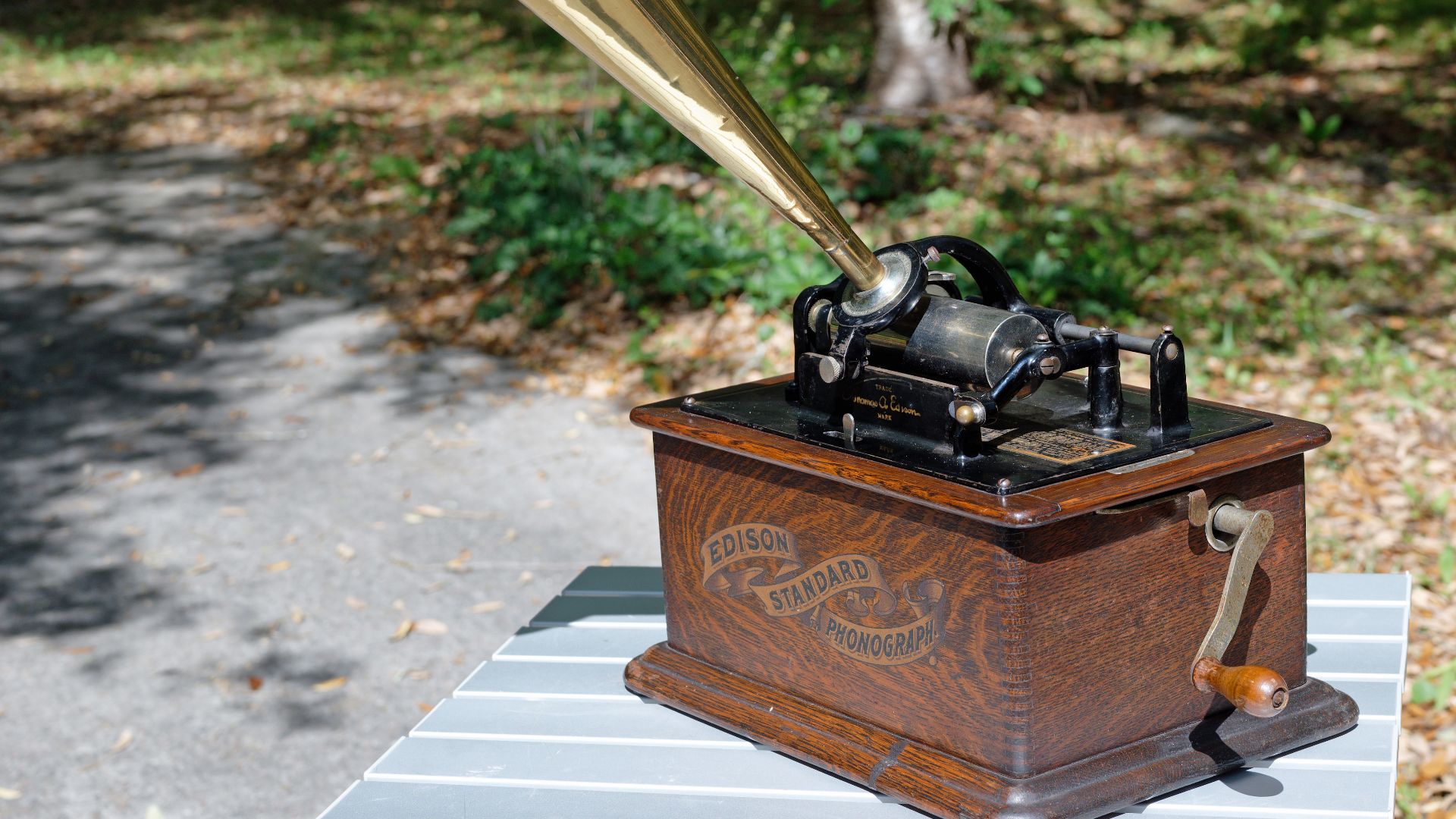 An Edison Standard Phonograph