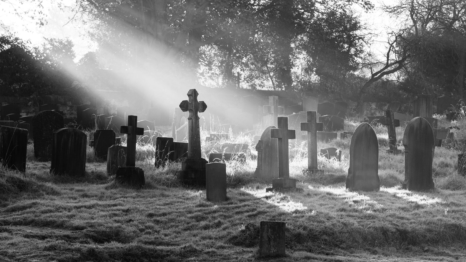 grayscale photography of cemetery