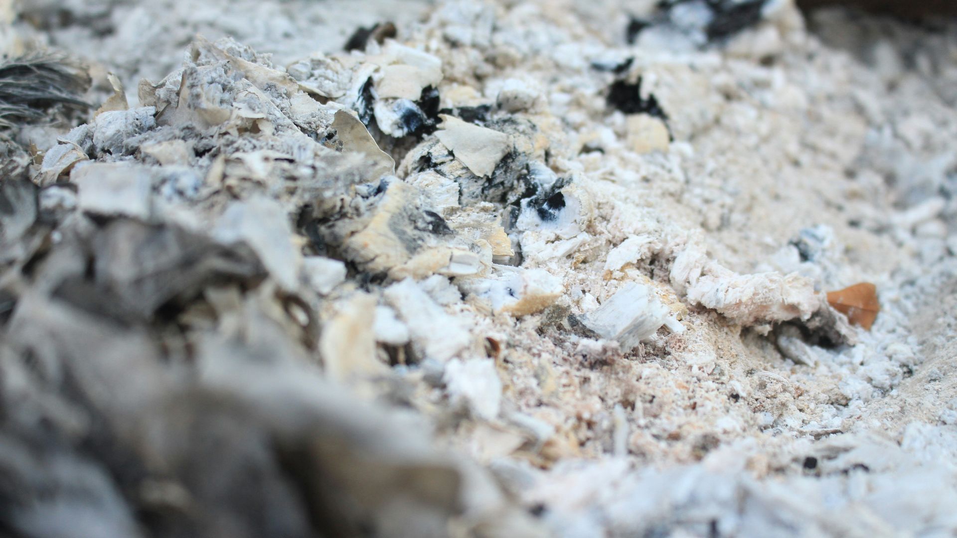 a close up of a pile of crushed up paper