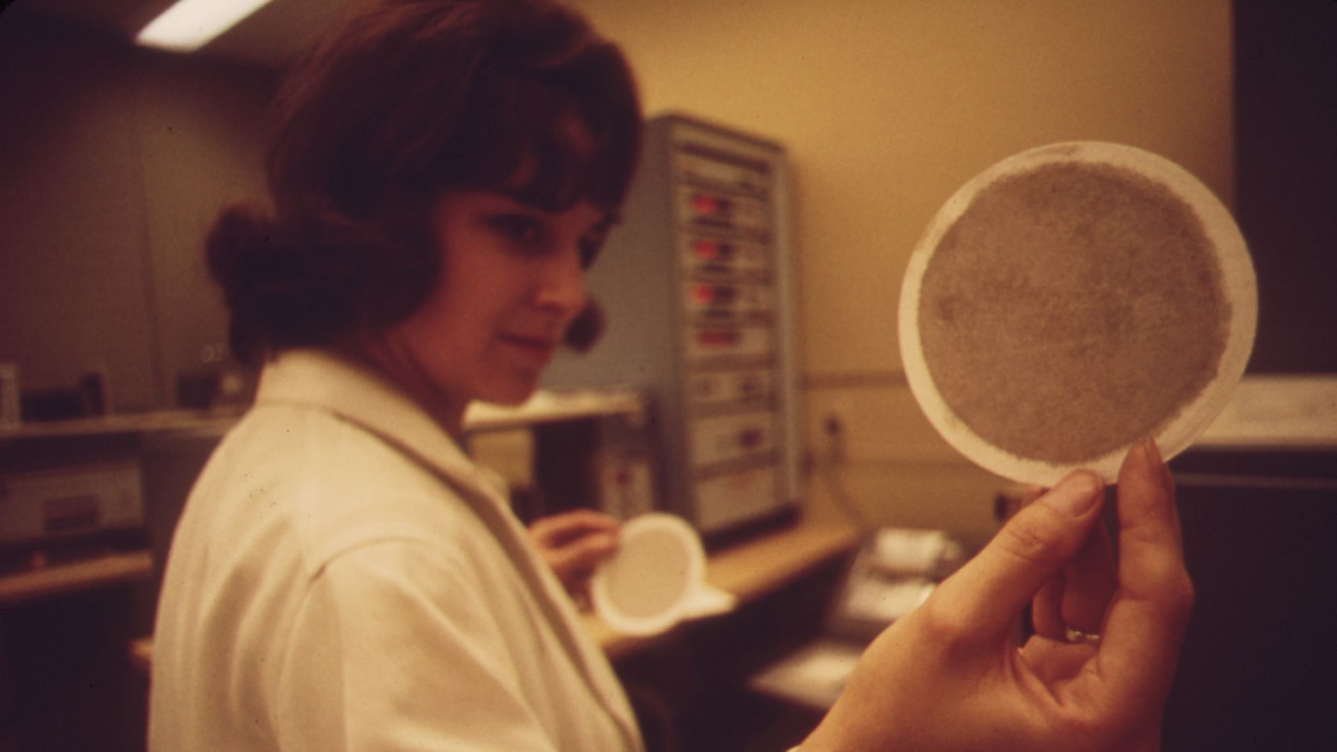 File:LABORATORY AT EPA'S LAS VEGAS NATIONAL RESEARCH CENTER TECHNICIAN HOLDS UP AN AIR FILTER - NARA - 548891.jpg