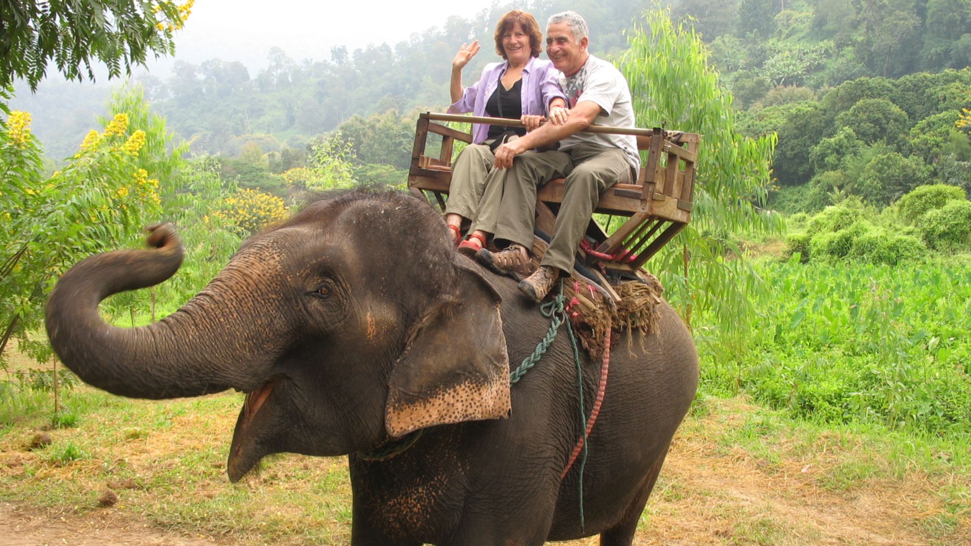 An elephant carrying tourists on its back
