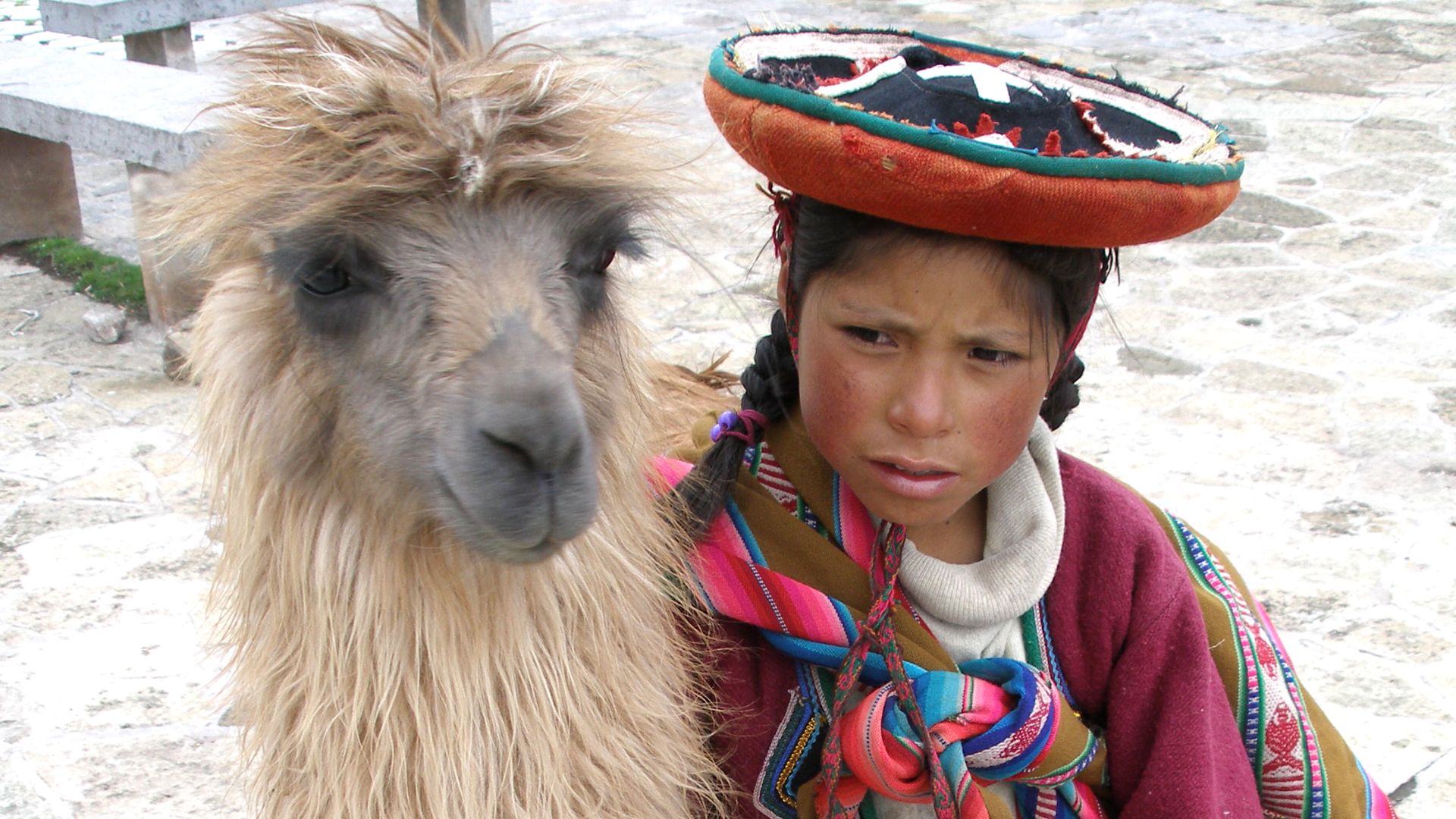 Quechua girl and her llama in Cuzco, Peru