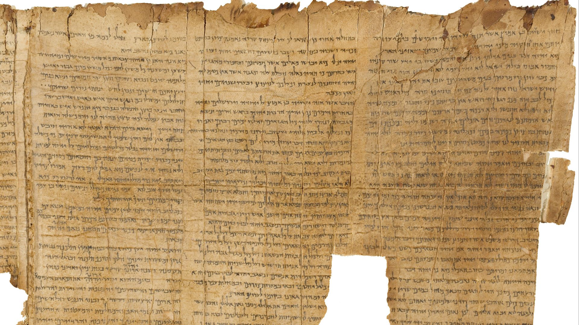 File:The Temple Scroll (11Q20) - Google Art Project.jpg