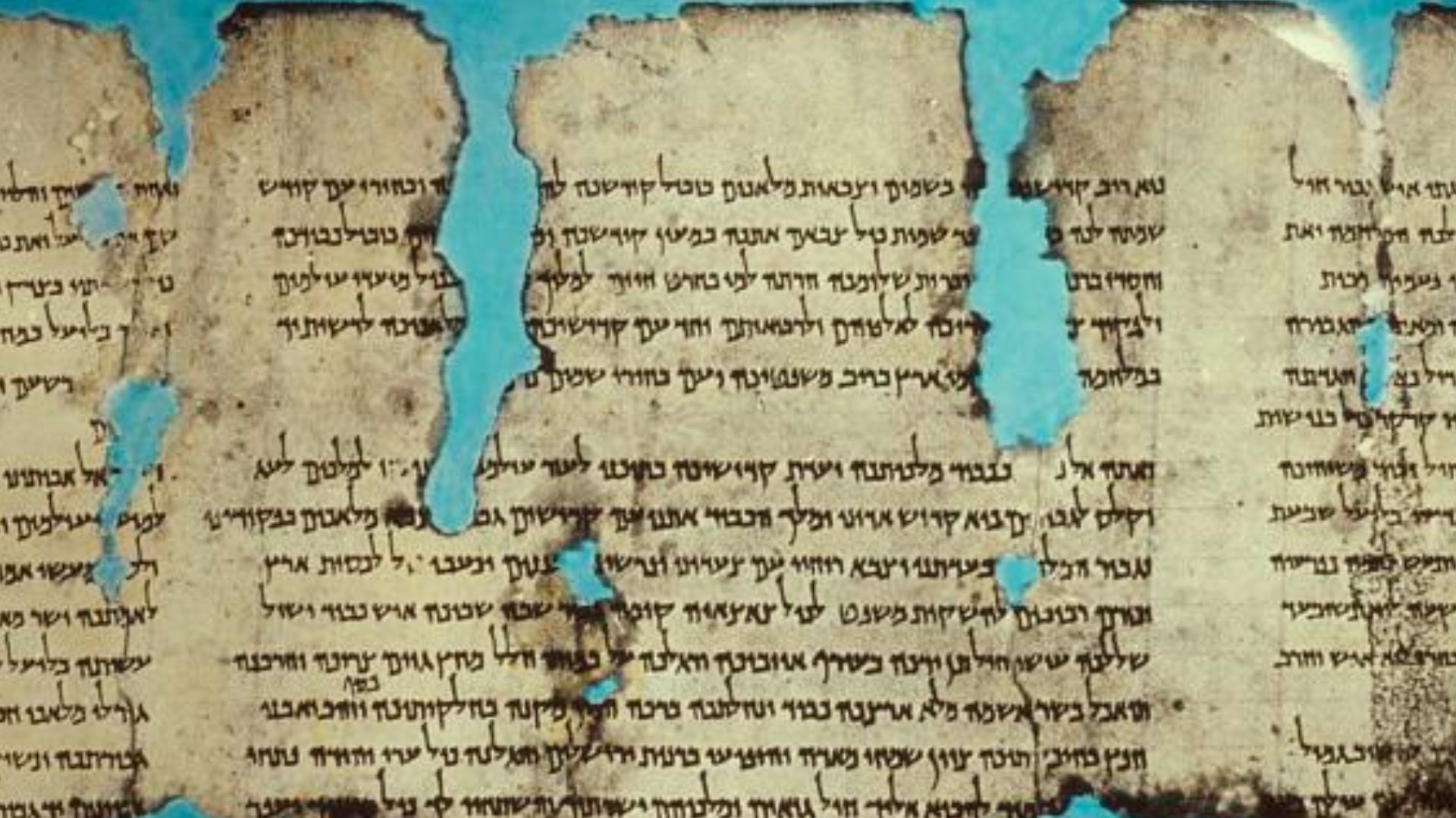 A photograph of the War Scroll photographed by Eric Matson of the Matson photo service.
