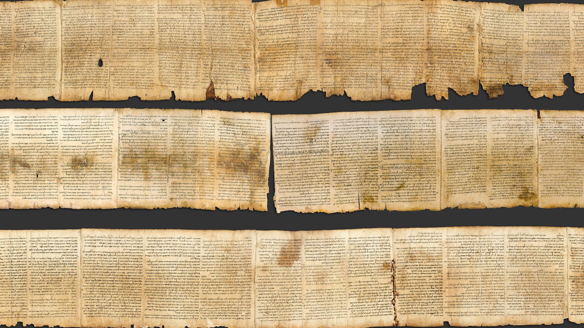 Photographic reproduction of the Great Isaiah Scroll, the best preserved of the biblical scrolls found at Qumran. It contains the entire Book of Isaiah in Hebrew, apart from some small damaged parts. This manuscript was probably written by a scribe of the