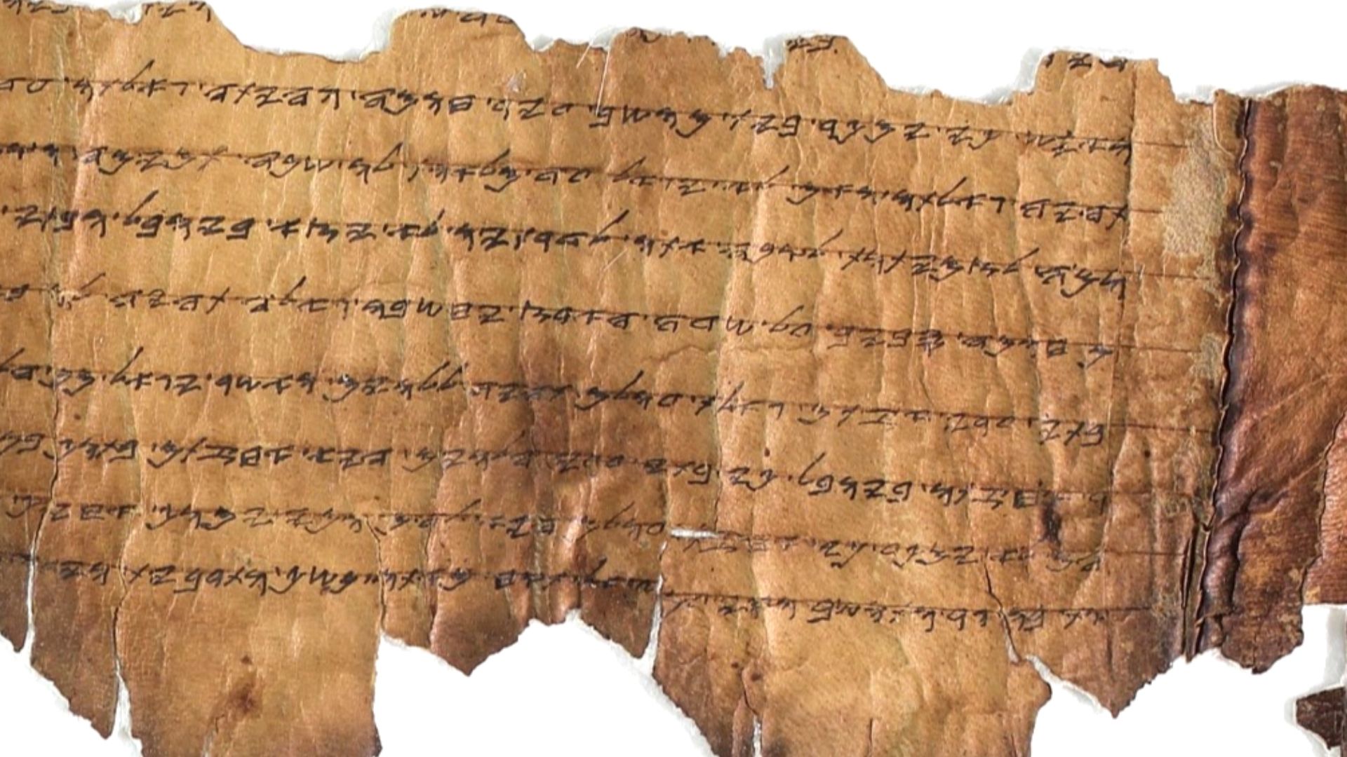 Close-up of paleo-Hebrew Leviticus scroll, now at the Israel Antiquities Authority in Jerusalem