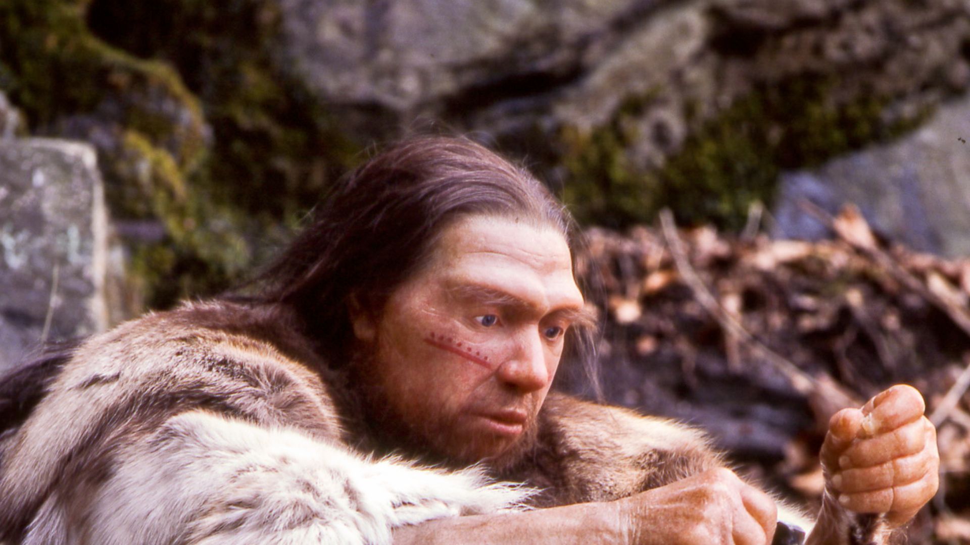 Lebend-Rekonstruktion im Neanderthal-Museum (Erkrath, Mettmann) eines Homo sapiens neanderthalensis-Jägers