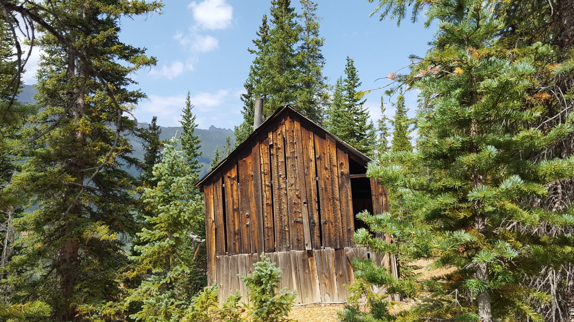 Inside of the Red Mountain Mining District, an abandoned mining cabin sits surrounded by trees alongside Red Mountain, in between the towns of Silverton, & Ouray.