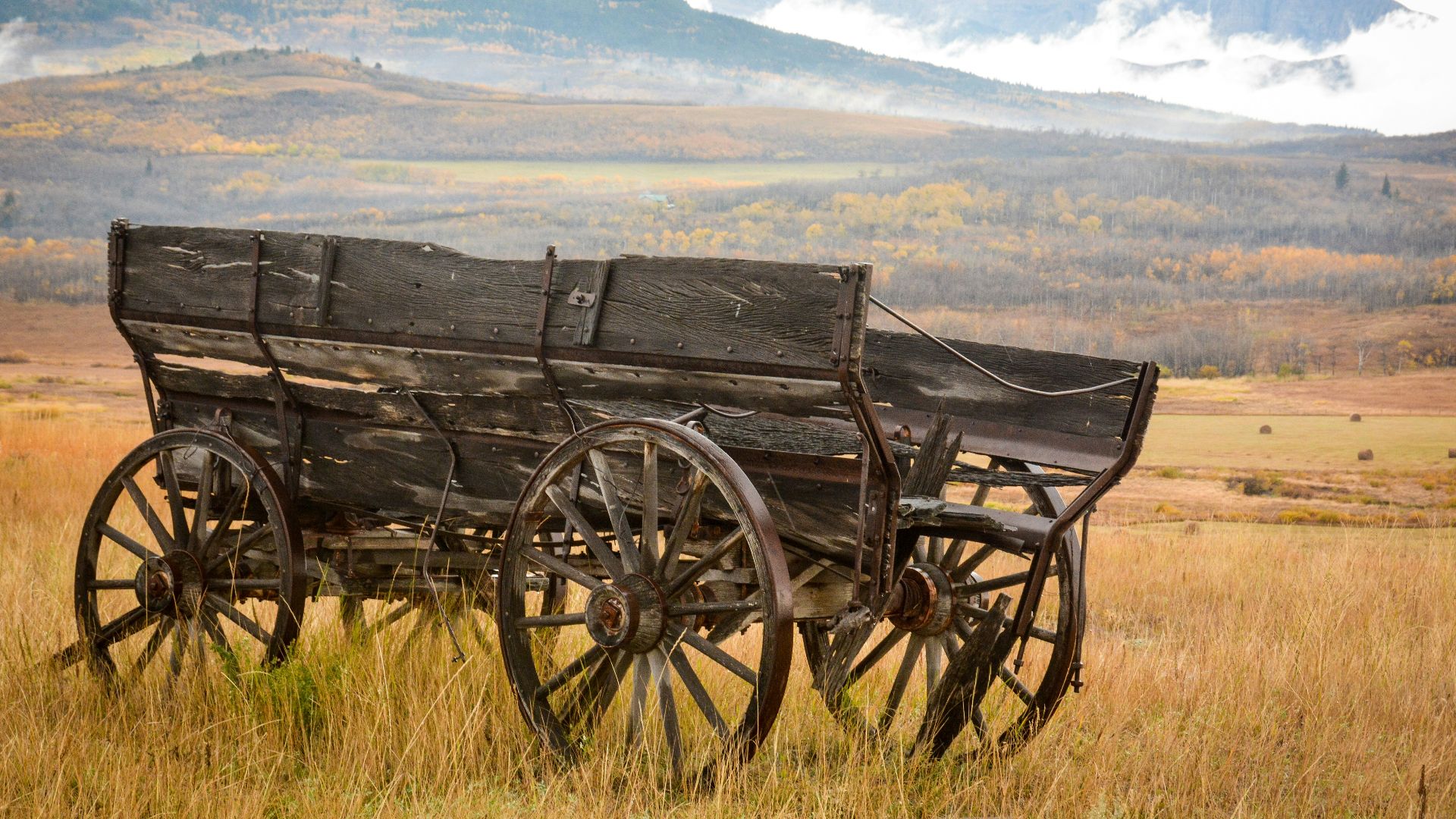 black wooden carriage on brown grass field during daytime