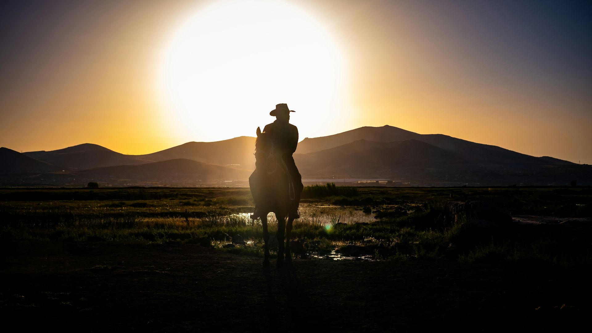 A person riding a horse at sunset in the desert