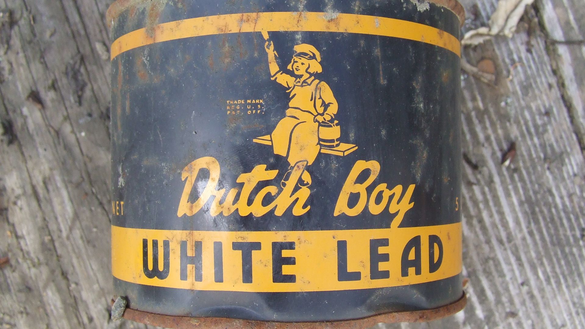 Dutch Boy Paint logo (front)