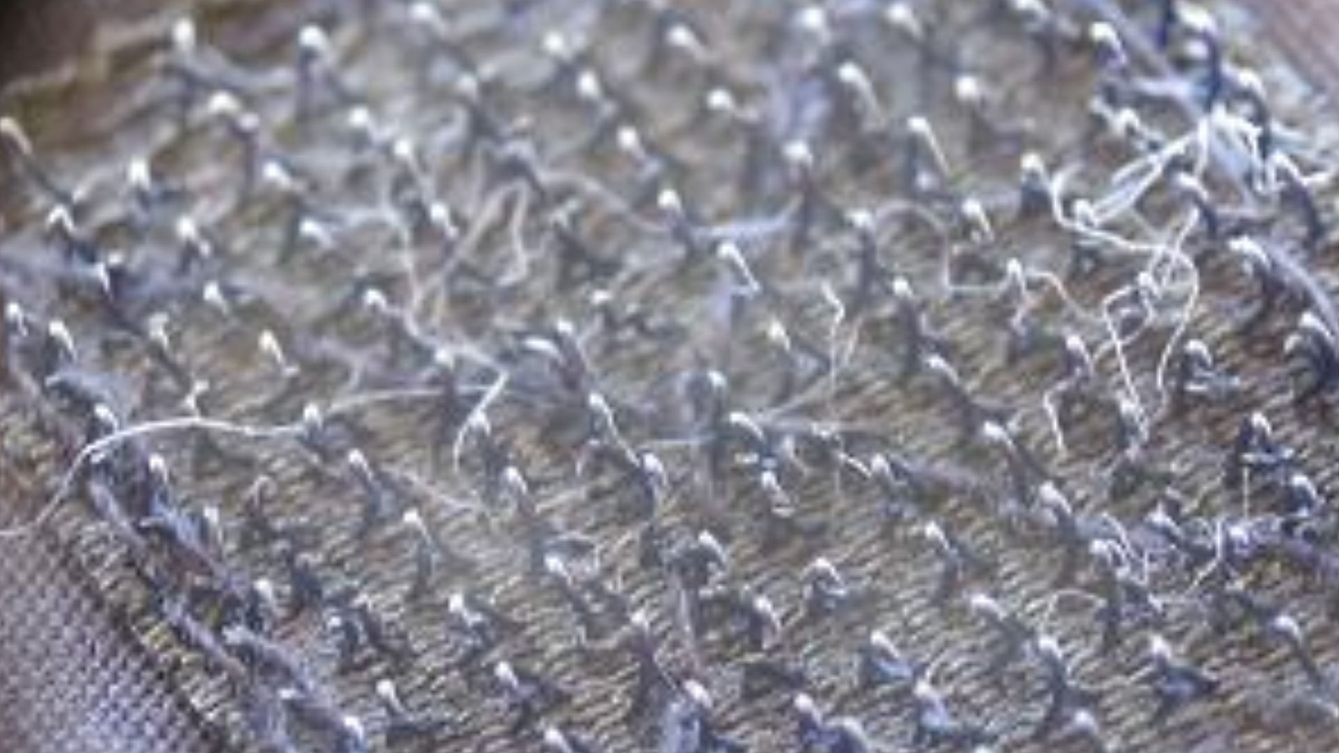 Close up image of Velcro.