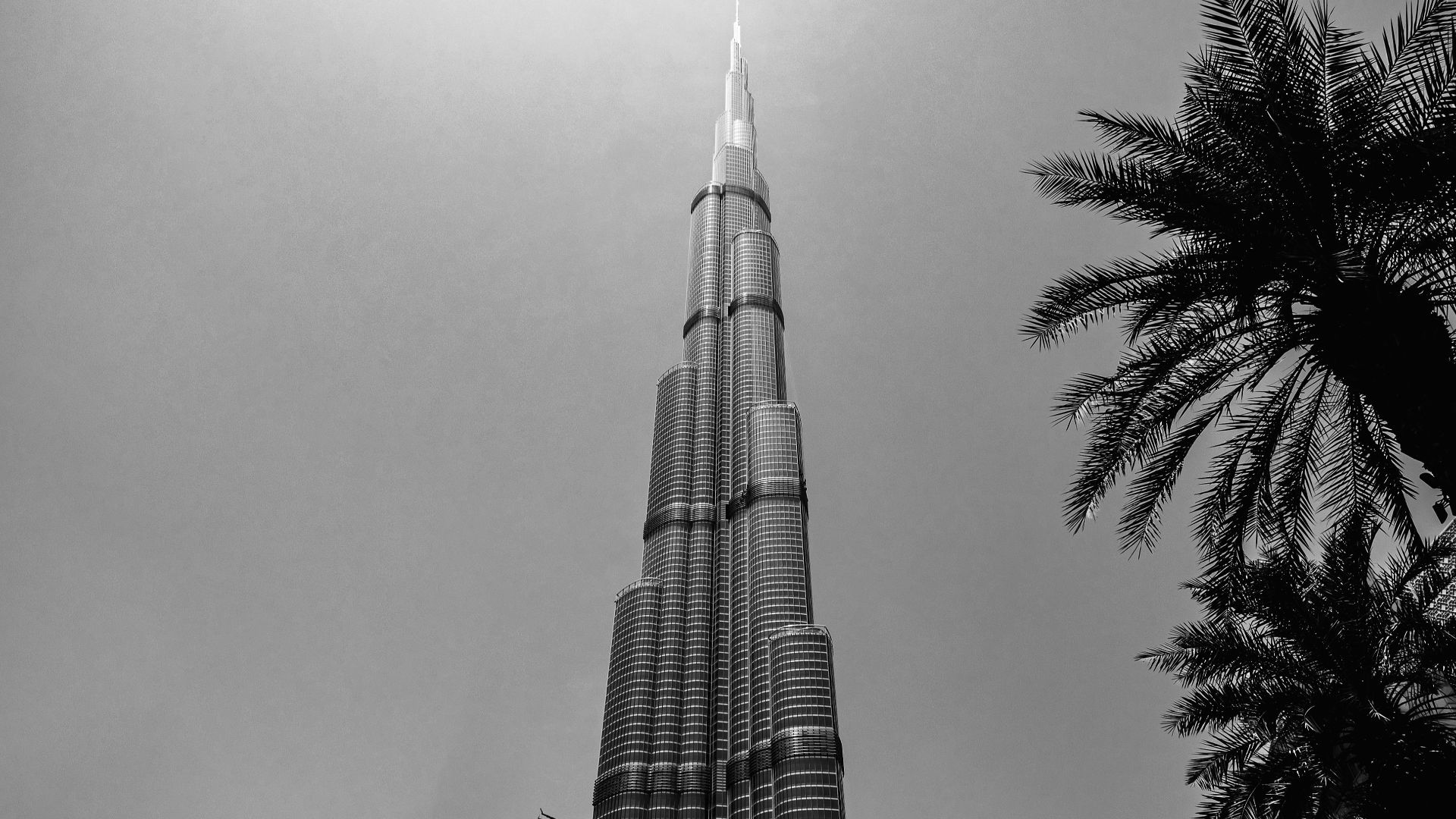 Black and white view of Burj Khalifa with palm trees, capturing Dubai's skyline elegance.