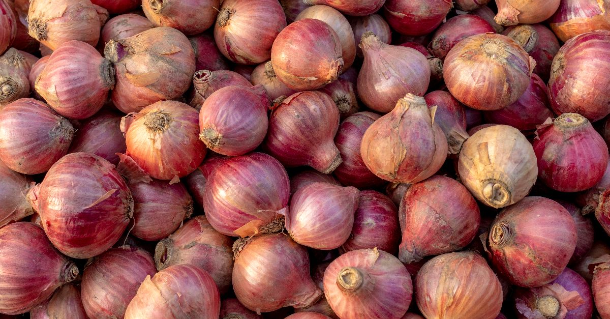 Indian Onion from Bangladesh