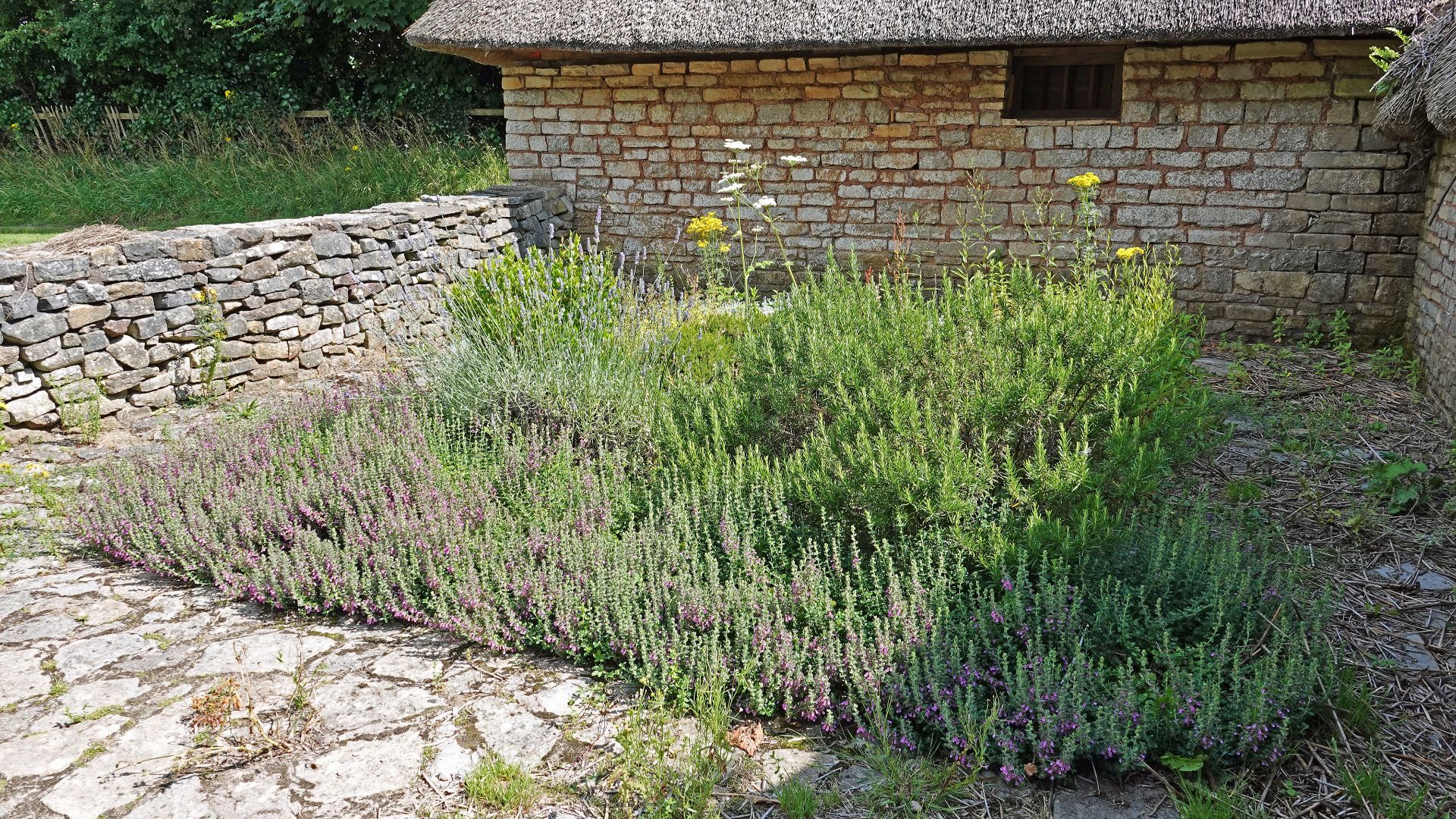 Herb garden: Cosmeston Medieval Village