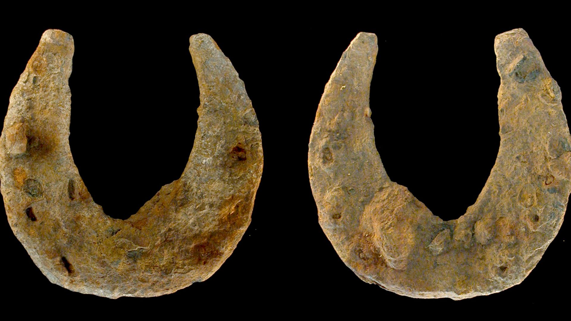 Complete flat wrought iron horseshoe of probable Late Medieval or Early Post Medieval (AD 1400 – AD 1600). Length 118mm, width 117mm and 13mm thick. Weight 293.44g.As viewed in plan, with the toe at the top and the bearing surface upwards, the left branch