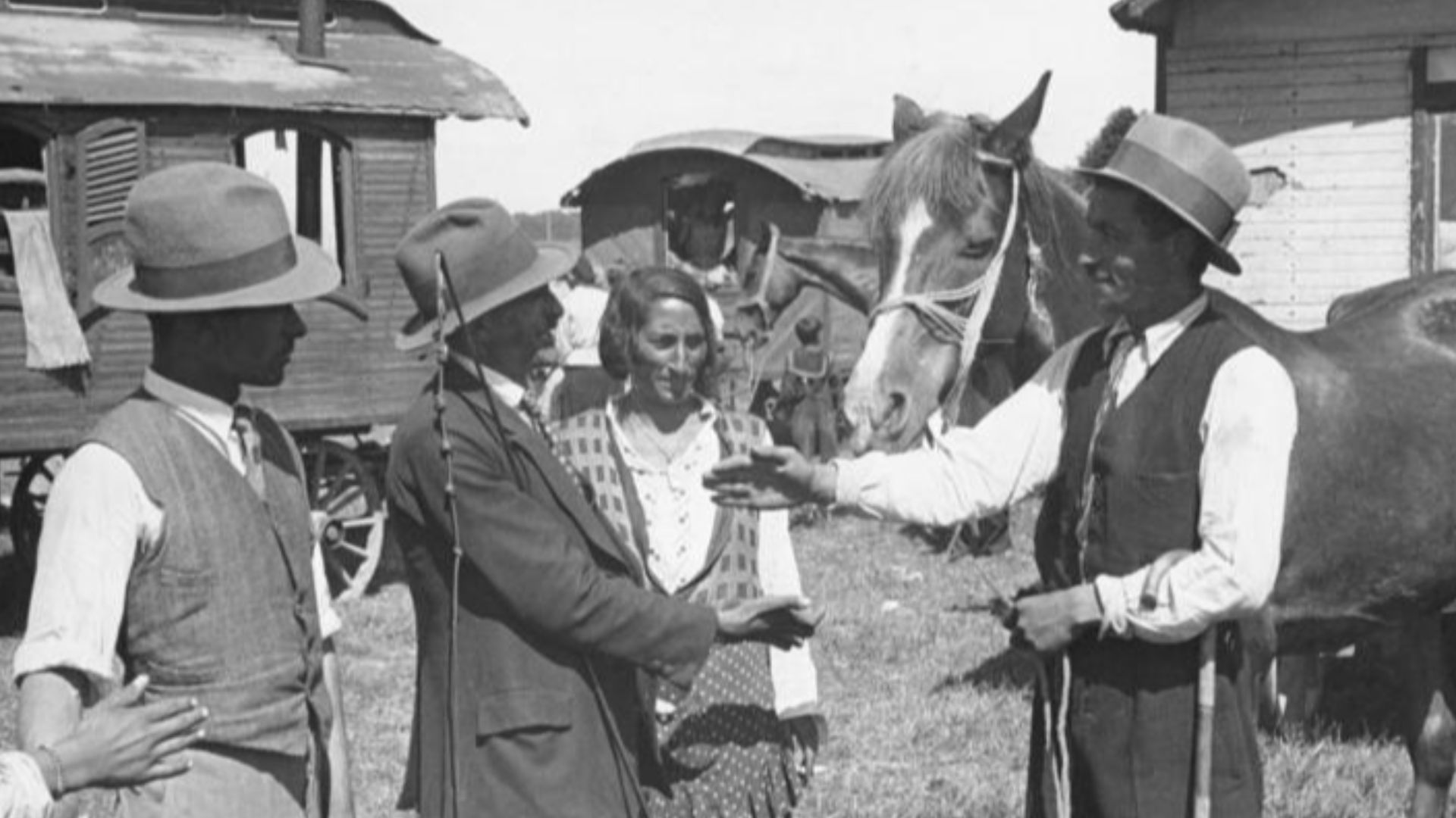 For documentary purposes the German Federal Archive often retained the original image captions, which may be erroneous, biased, obsolete or politically extreme. Europas grösster Pferdemarkt in Wehlau. 
Zigeuner beim Pferdeverkauf. 

1935