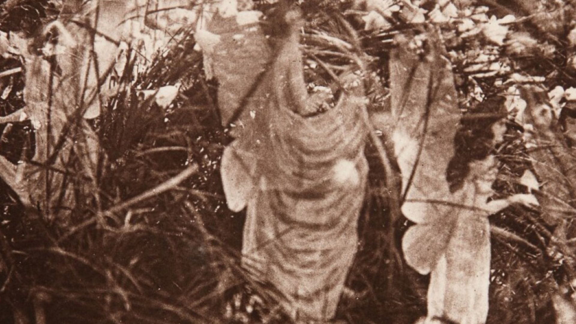 The fifth of the Cottingley Fairies photographs, showing fairies sunbathing