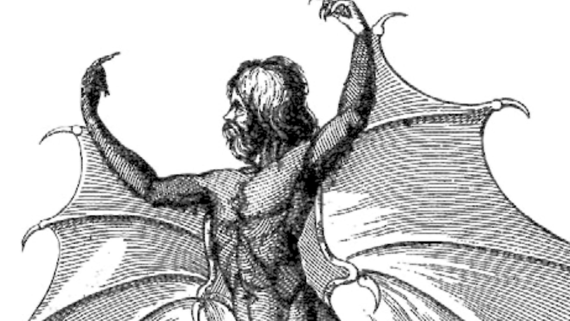 Portrait of a man-bat (Vespertilio-homo), from an edition of the moon series published in Naples.
(Courtesy of the New York Public Library.)