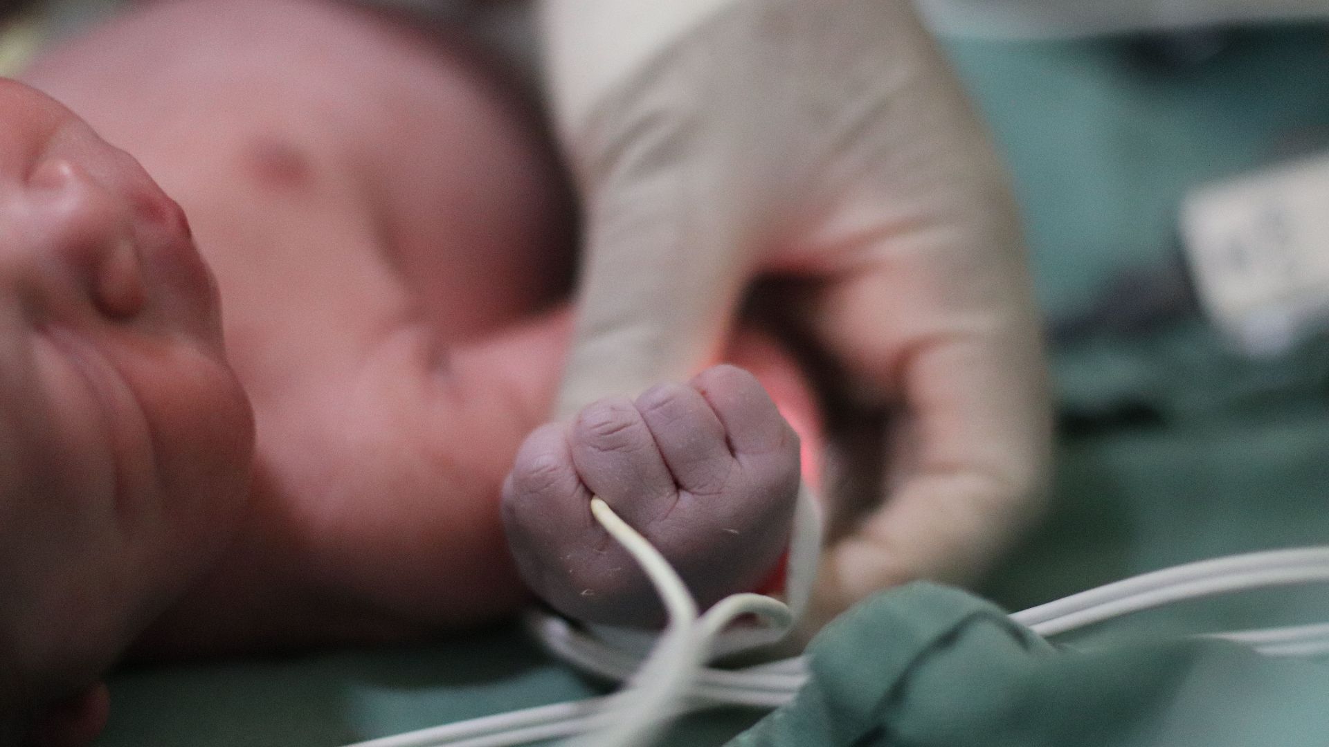 Close-up of a newborn baby's hand being held by a healthcare professional in a hospital environment.
