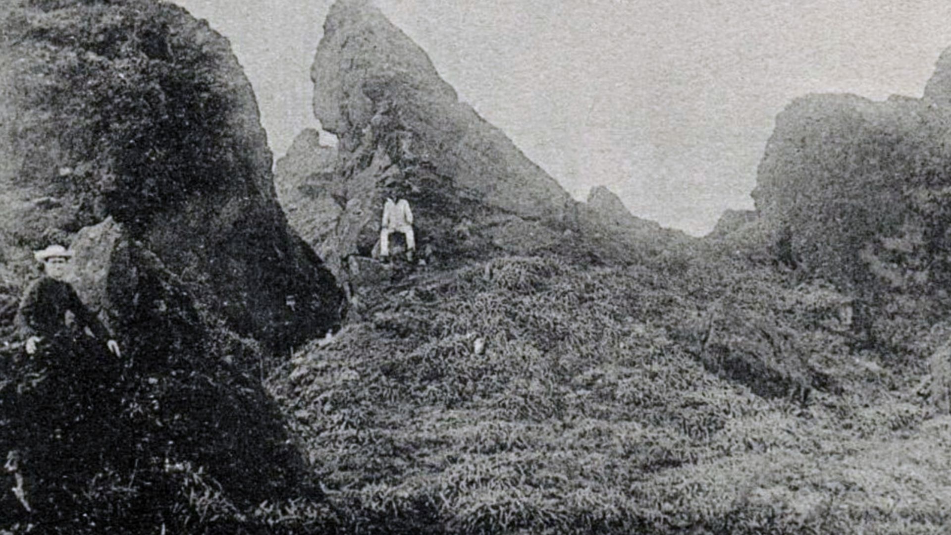 Photomechanical print (postcard) : collotype 
Undivided back