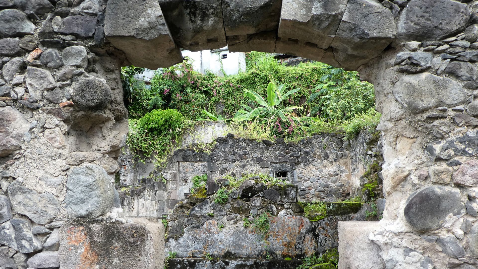 At 8:00 am on the morning of May 8, 1902, Mt. Pelee erupted sending a pyroclastic cloud of hot gases and ash on the city of Saint Pierre on the Caribbean island of Martinique.  The city was destroyed and over 30,000 people were killed instantly.
These are