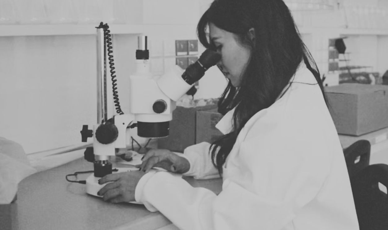 scientist in the laboratory