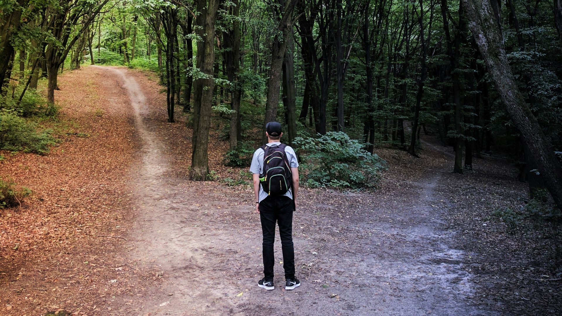 man standing in the middle of woods