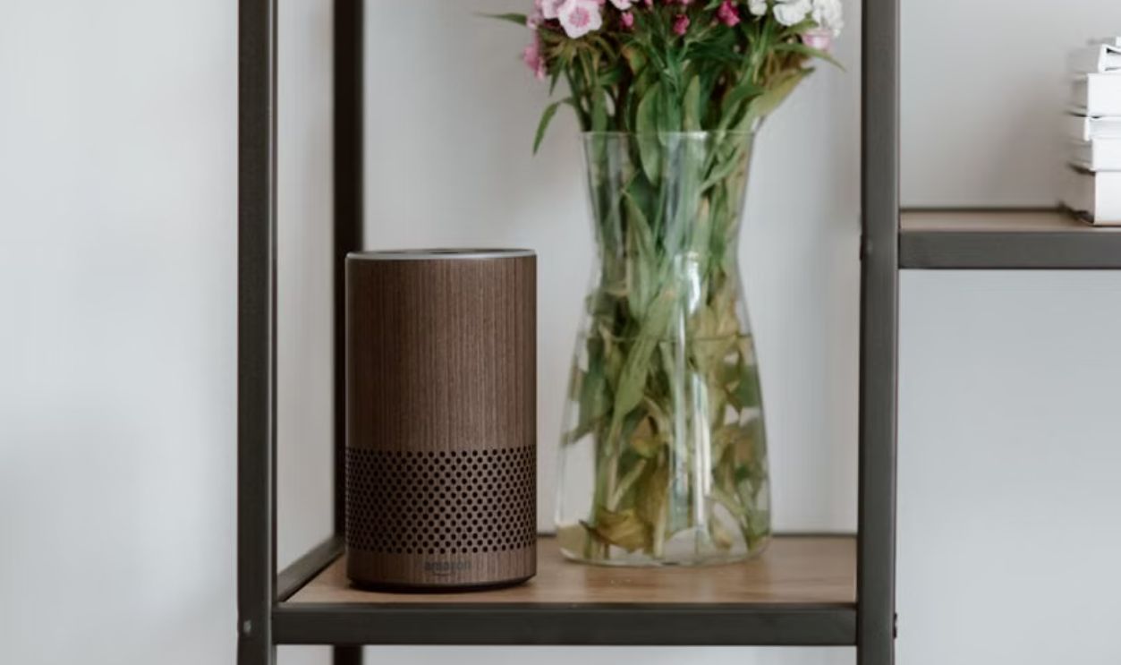 Amazon Alexa speaker