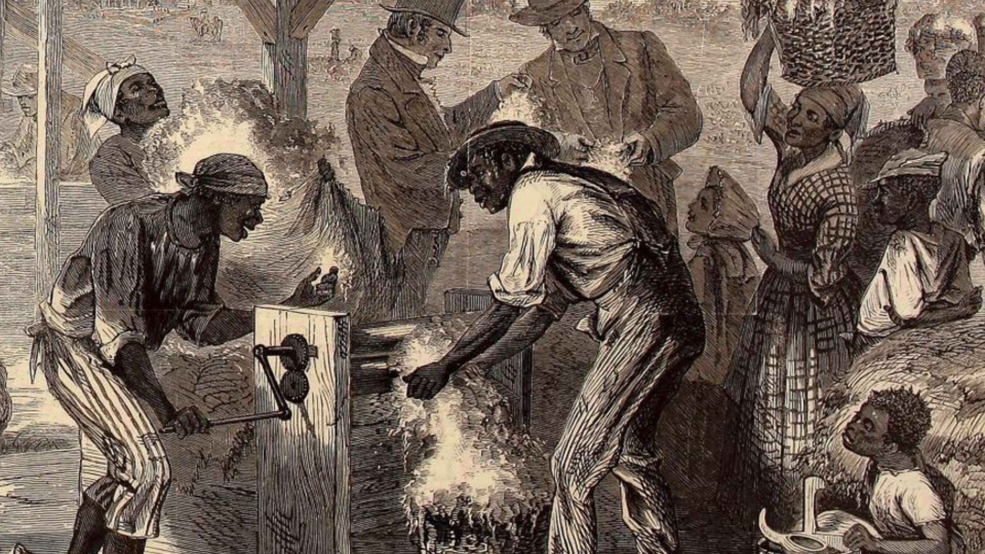 African Americans slaves using the First cotton-gin, 1790-1800, drawn by William L. Sheppard. Illustration in Harper's weekly, 1869 Dec. 18, p. 813. Harpers Weekly's illustration depicting event of some 70 years earlier.The illustration is of a Roller Cot