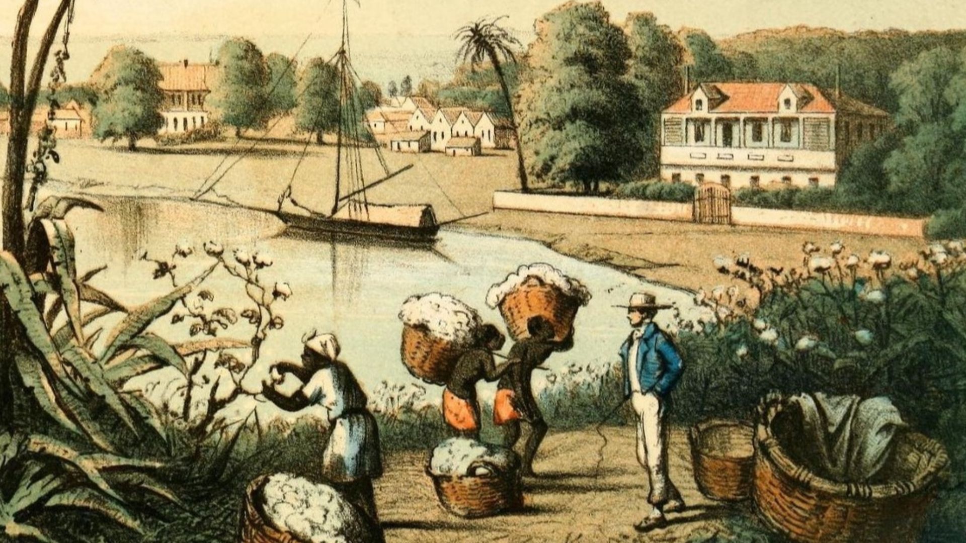 Enslaved workers picking cotton on a Mississippi Valley plantation, 1857.