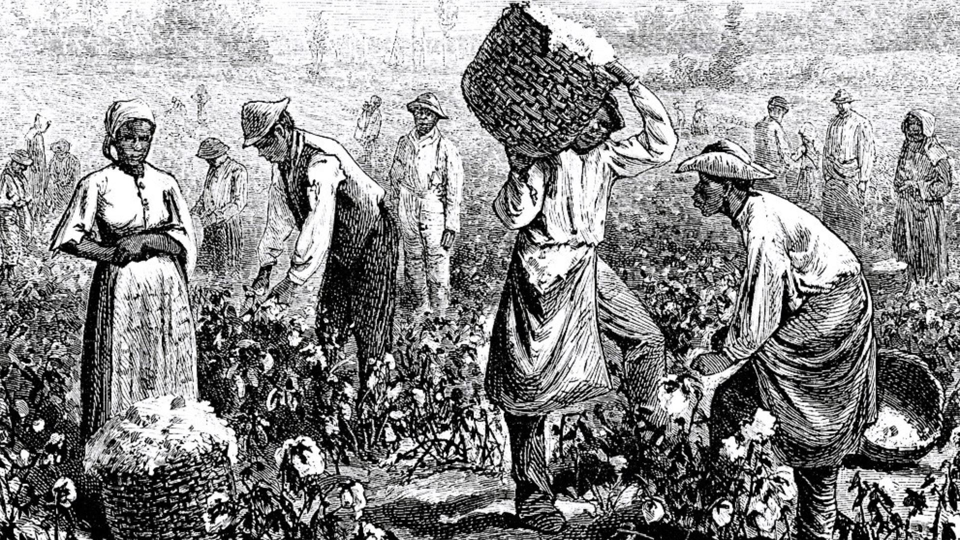 Scene on a cotton plantation, United States, 1874
