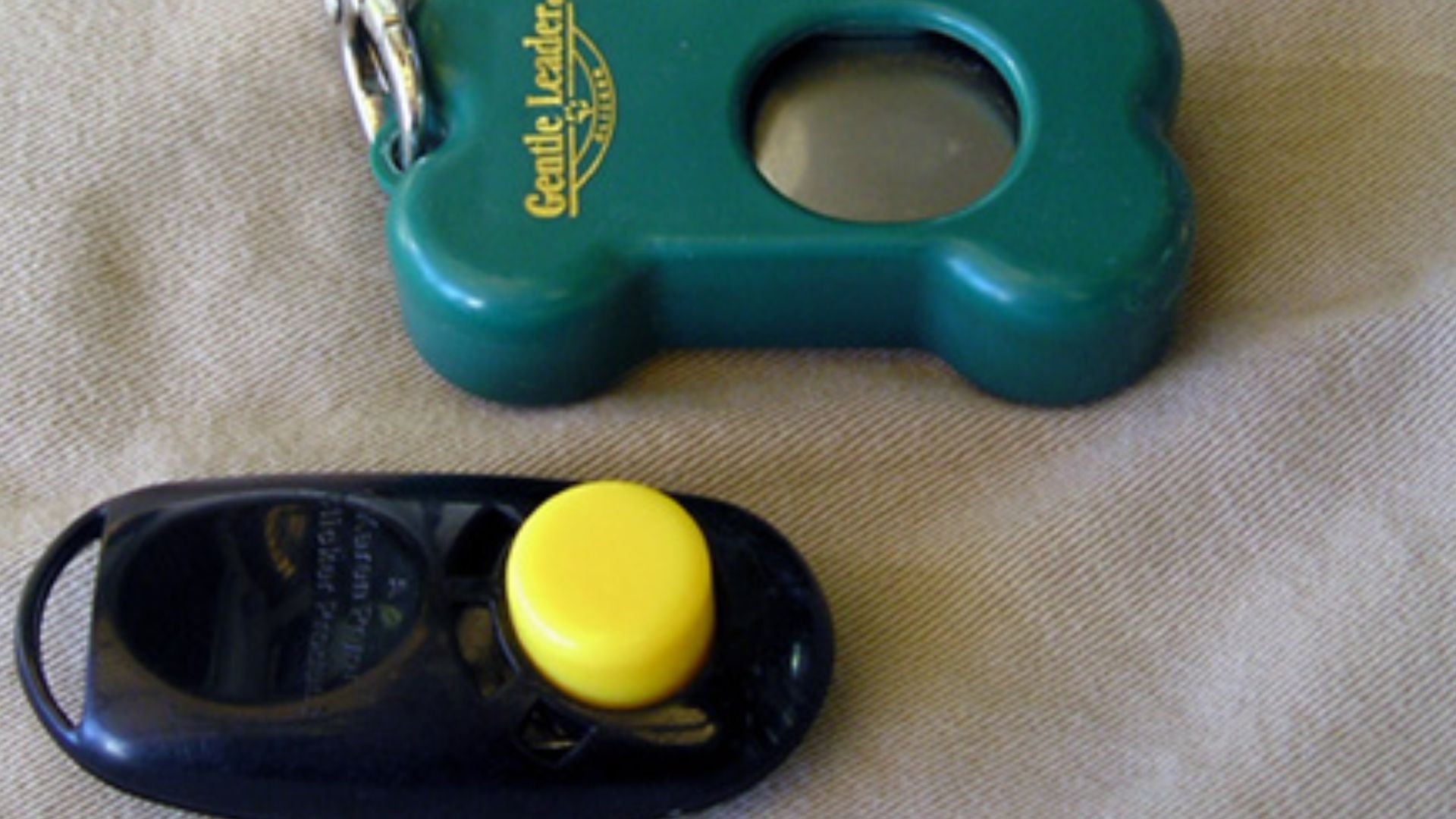 Clickers used for clicker training.