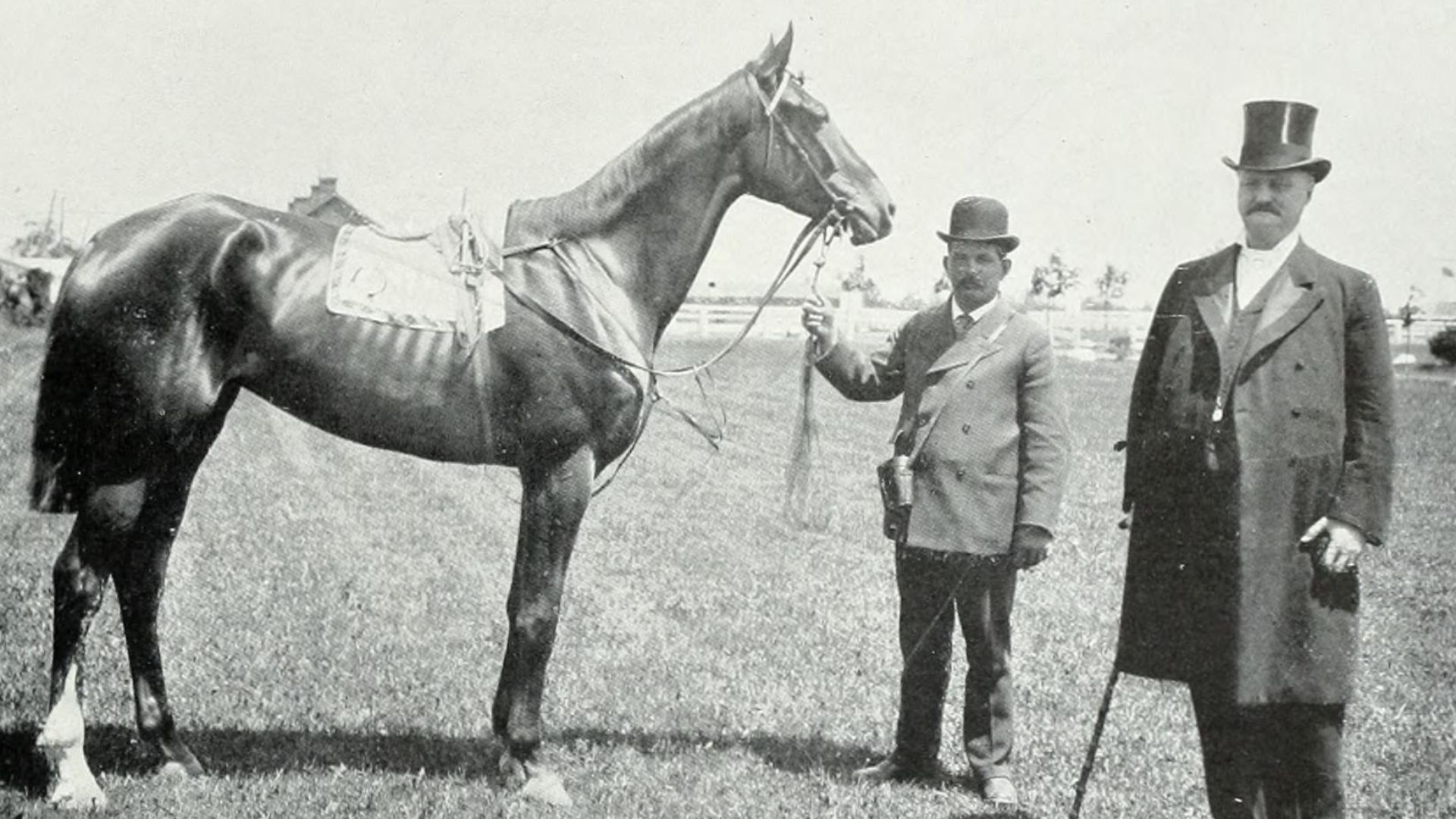 Identifier: loversofhorsebri00roseuoft (find matches)
Title: Lovers of the horse : brief sketches of men and women of the Dominion of Canada devoted to the noblest of animals. --
Year: 1909 (1900s)
Authors:  Rose, Geo. Maclean (George Maclean), 1829-1898
